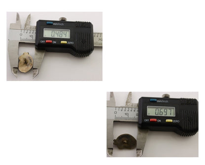 Navajo Earrings 925 Silver Natural Turquoise Native American Artist C.80's