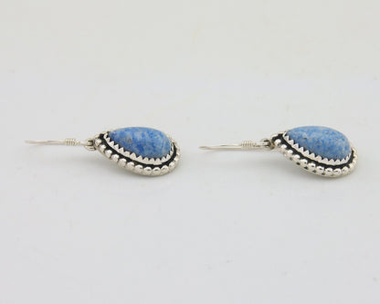 Navajo Earrings 925 Silver Blue Denim Lapis Artist Signed First Eagle C.80's