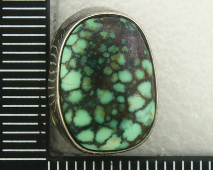 Navajo Earrings 925 Silver Spiderweb Natural Turquoise Signed D Lvingston C80s