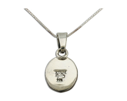 Navajo Necklace 925 Silver Arizona Turquoise Handmade Signed Gecko C.90's